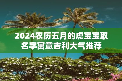 2025农历五月的虎宝宝取名字寓意吉利大气推荐