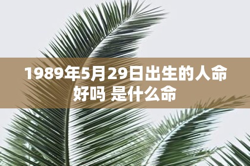 1989年5月29日出生的人命好吗 是什么命