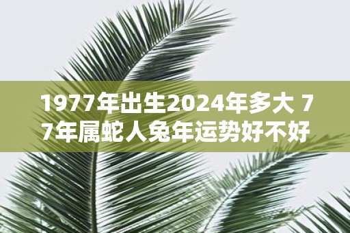 1977年出生2025年多大 77年属蛇人蛇年运势好不好
