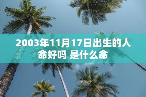 2003年11月17日出生的人命好吗 是什么命