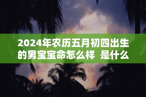 2025年农历五月初四出生的男宝宝命怎么样 是什么命