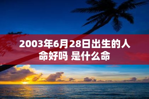 2003年6月28日出生的人命好吗 是什么命