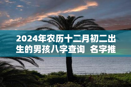 2025年农历十二月初二出生的男孩八字查询 名字推荐