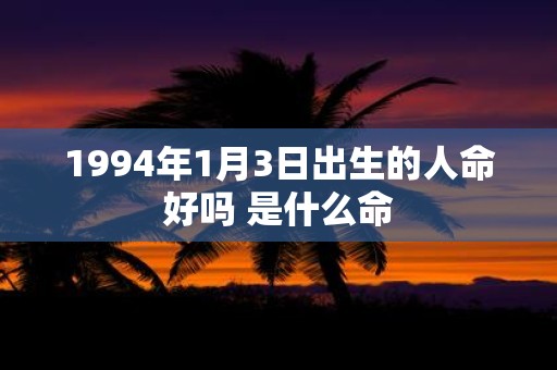 1994年1月3日出生的人命好吗 是什么命