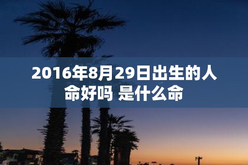 2016年8月29日出生的人命好吗 是什么命
