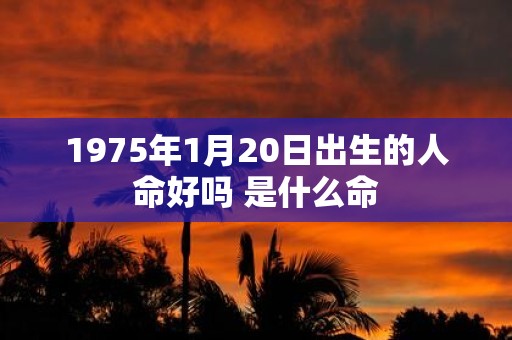1975年1月20日出生的人命好吗 是什么命