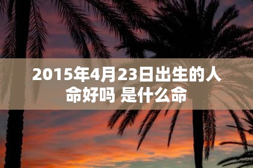2015年4月23日出生的人命好吗 是什么命