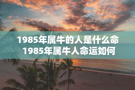 1985年属牛的人是什么命 1985年属牛人命运如何