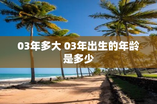 03年多大 03年出生的年龄是多少