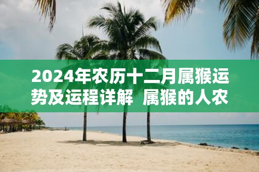 2025年农历十二月属猴运势及运程详解 属猴的人农历十二月运势好吗