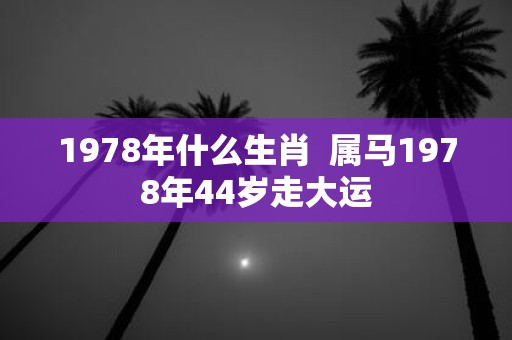 1978年什么生肖 属马1978年44岁走大运