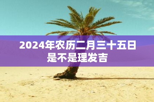 2025年农历二月三十五日是不是理发吉