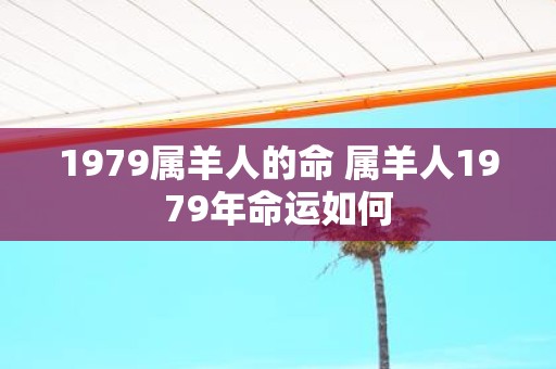 1979属羊人的命 属羊人1979年命运如何