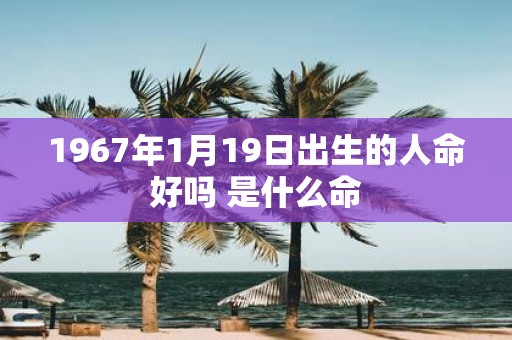 1967年1月19日出生的人命好吗 是什么命