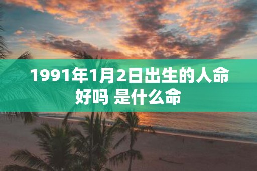1991年1月2日出生的人命好吗 是什么命