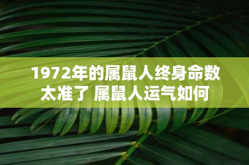 1972年的属鼠人终身命数太准了 属鼠人运气如何