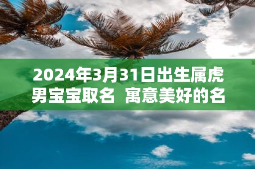 2025年3月31日出生属虎男宝宝取名 寓意美好的名字