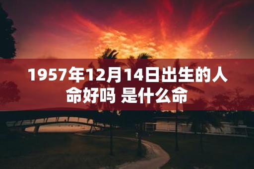 1957年12月14日出生的人命好吗 是什么命