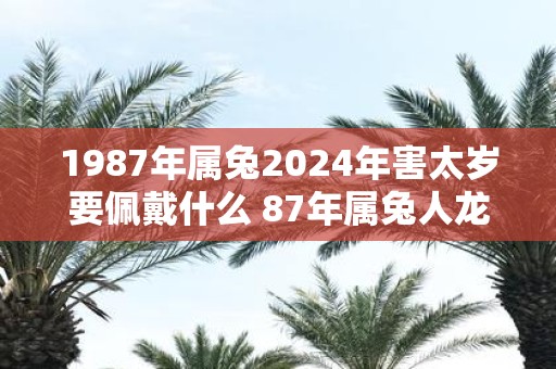 1987年属兔2025年害太岁要佩戴什么 87年属兔人蛇年犯太岁怎么化解