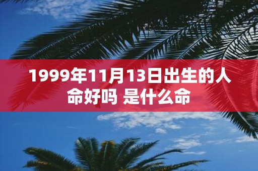 1999年11月13日出生的人命好吗 是什么命