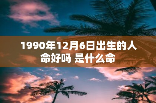 1990年12月6日出生的人命好吗 是什么命