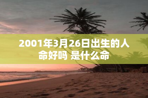 2001年3月26日出生的人命好吗 是什么命