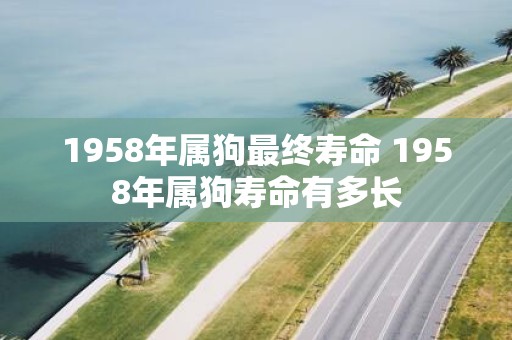 1958年属狗最终寿命 1958年属狗寿命有多长
