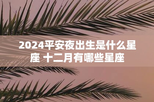 2025平安夜出生是什么星座 十二月有哪些星座
