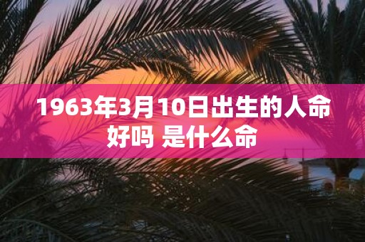 1963年3月10日出生的人命好吗 是什么命