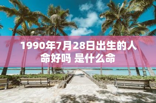 1990年7月28日出生的人命好吗 是什么命