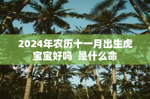 2025年农历十一月出生虎宝宝好吗 是什么命
