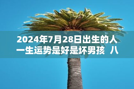2025年7月28日出生的人一生运势是好是坏男孩 八字批解