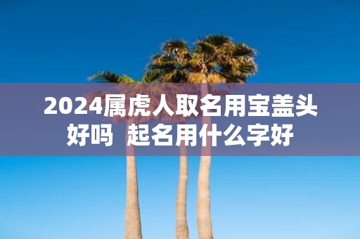 2025属虎人取名用宝盖头好吗 起名用什么字好