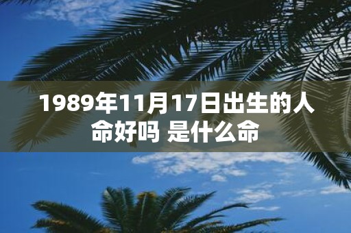1989年11月17日出生的人命好吗 是什么命