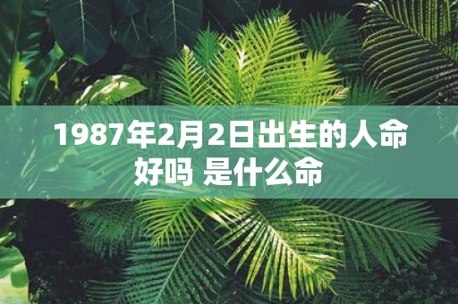 1987年2月2日出生的人命好吗 是什么命