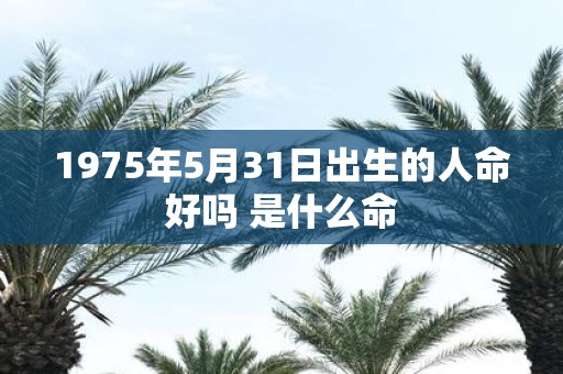 1975年5月31日出生的人命好吗 是什么命
