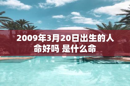 2009年3月20日出生的人命好吗 是什么命