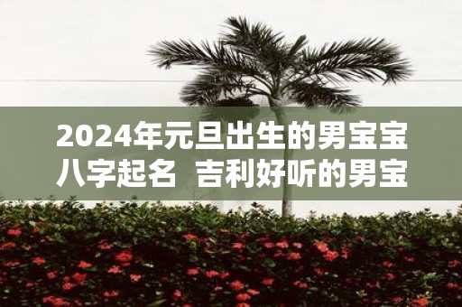 2025年元旦出生的男宝宝八字起名 吉利好听的男宝宝名字