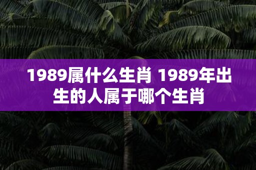 1989属什么生肖 1989年出生的人属于哪个生肖