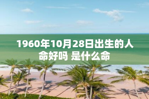 1960年10月28日出生的人命好吗 是什么命
