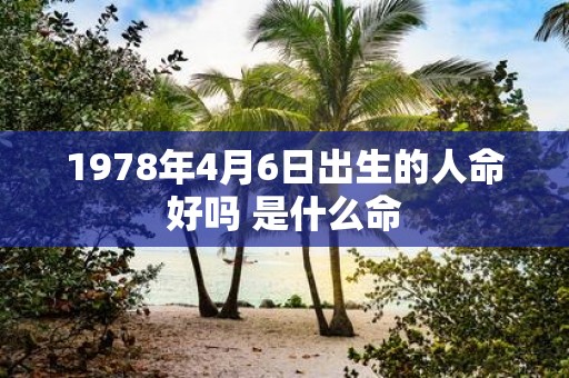 1978年4月6日出生的人命好吗 是什么命