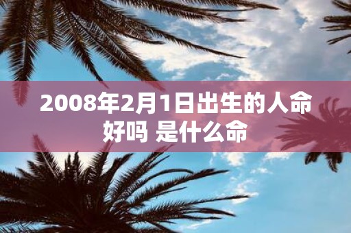 2008年2月1日出生的人命好吗 是什么命
