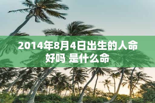 2014年8月4日出生的人命好吗 是什么命