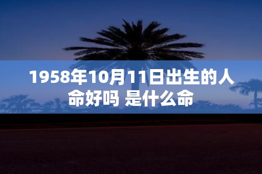 1958年10月11日出生的人命好吗 是什么命