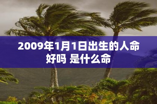 2009年1月1日出生的人命好吗 是什么命
