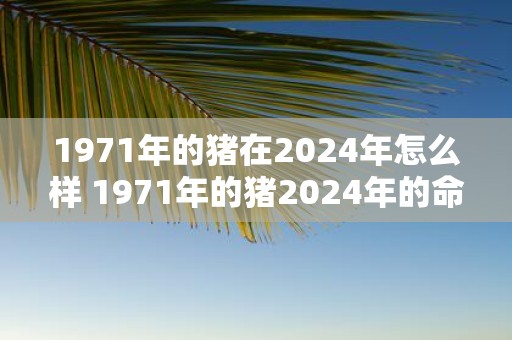 1971年的猪在2025年怎么样 1971年的猪2025年的命运