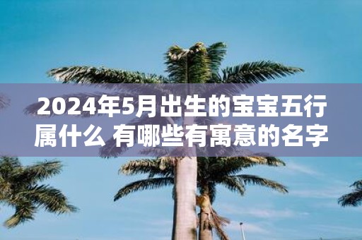 2025年5月出生的宝宝五行属什么 有哪些有寓意的名字
