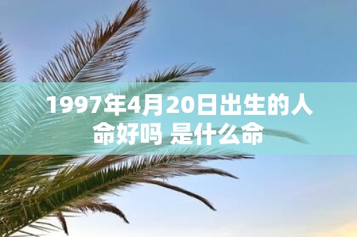 1997年4月20日出生的人命好吗 是什么命