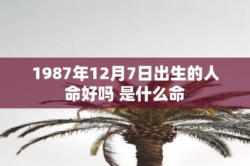1987年12月7日出生的人命好吗 是什么命