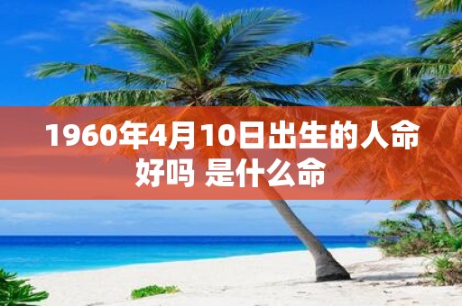 1960年4月10日出生的人命好吗 是什么命